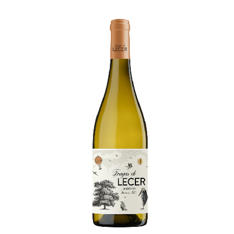 lecer-01